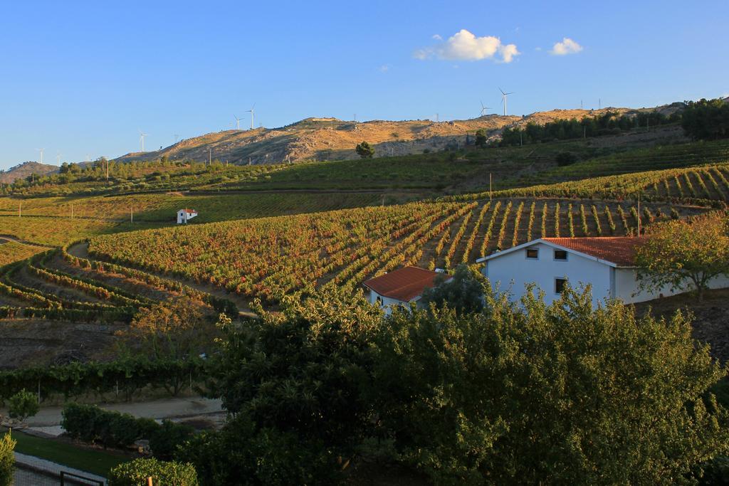Quinta Da Padrela Winery House Villa Tabuaco Room photo